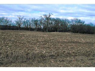 Property photo 3 - LAND AUCTION, 94+/- Acres offered in 3 Tracts